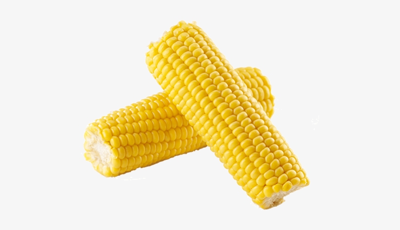 Corn On The Cob Transparent PNG - 500x408 - Free Download on NicePNG