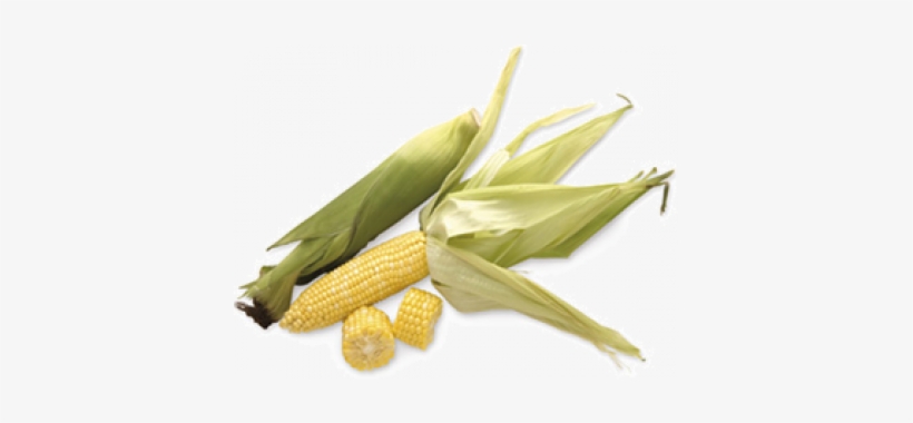 Vegetable, transparent png download
