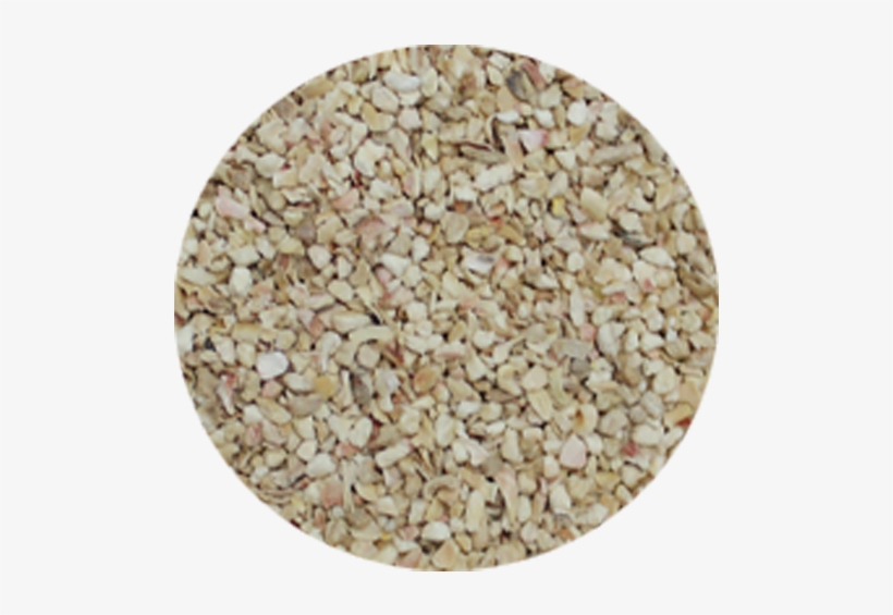 Corn Cob - Wild Birds Unlimited, transparent png download