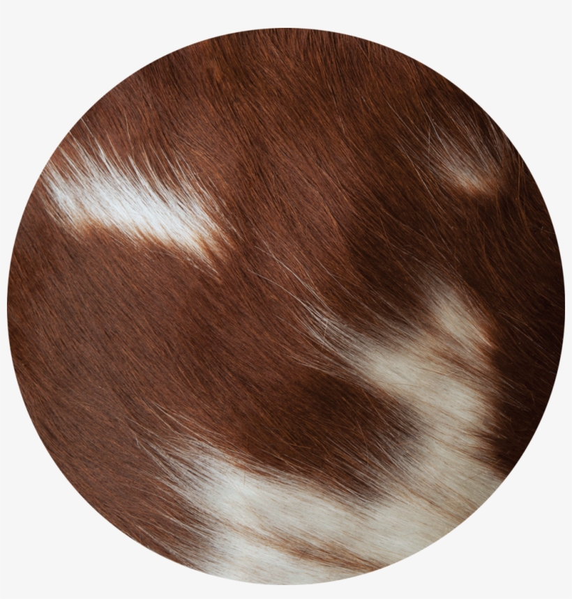 Red Cloud - Library, transparent png download