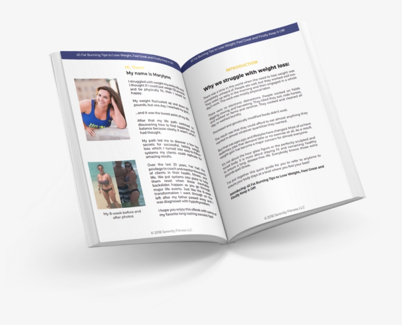 Download Here - Brochure, transparent png download