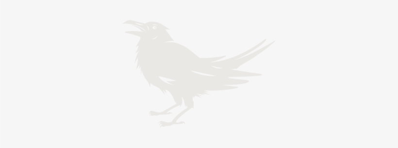 Trc Raven Light - Perching Bird, transparent png download
