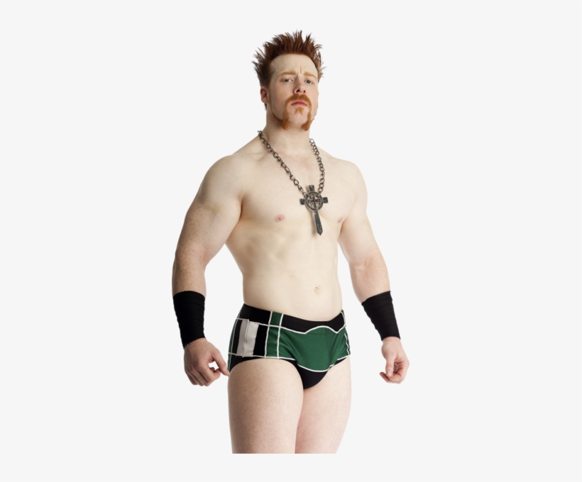 Share This Image - Sheamus Wwe, transparent png download