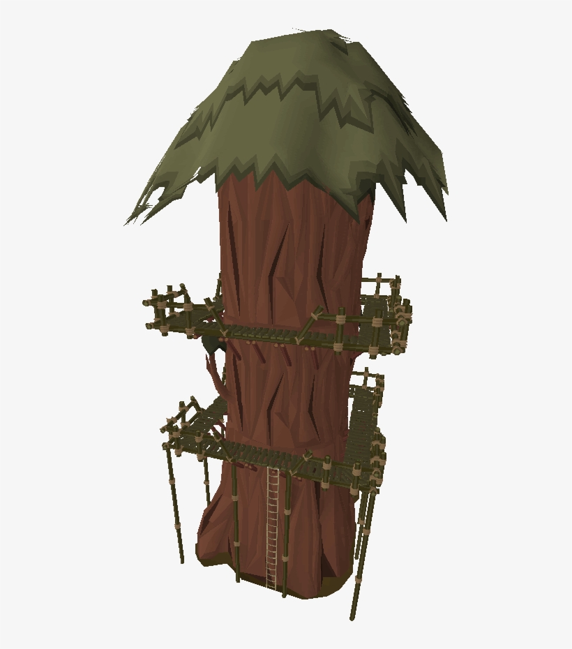 Redwood Tree - Red Wood Tree, transparent png download