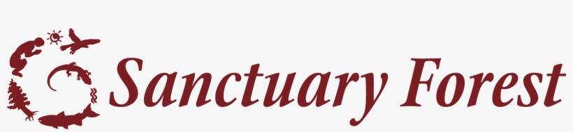 Calligraphy, transparent png download
