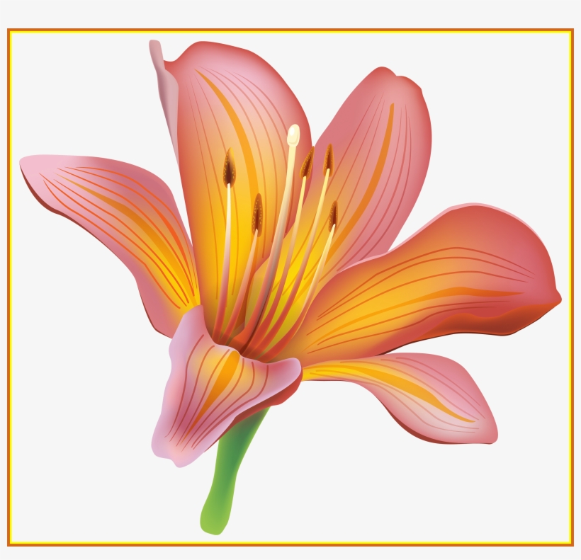 Unbelievable Flower Png Best Web Image Of - Lily Clipart, transparent png download