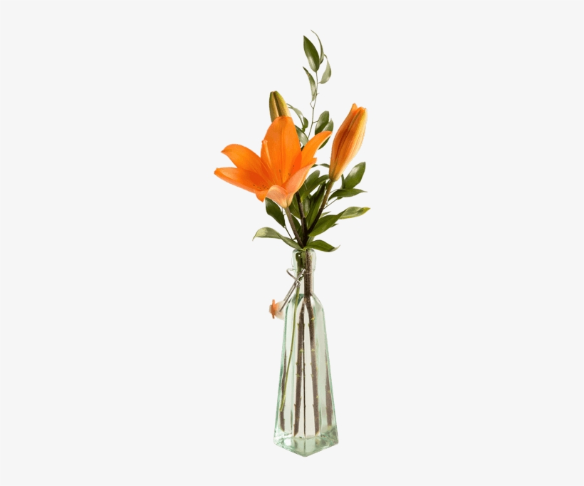 Lily Bottle - Flower Bottle Png, transparent png download