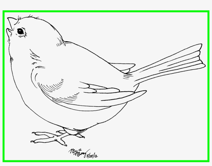 Astonishing Sweet Baby Bird Clip Art Transparent - Black And White Drawing Of A Bird, transparent png download