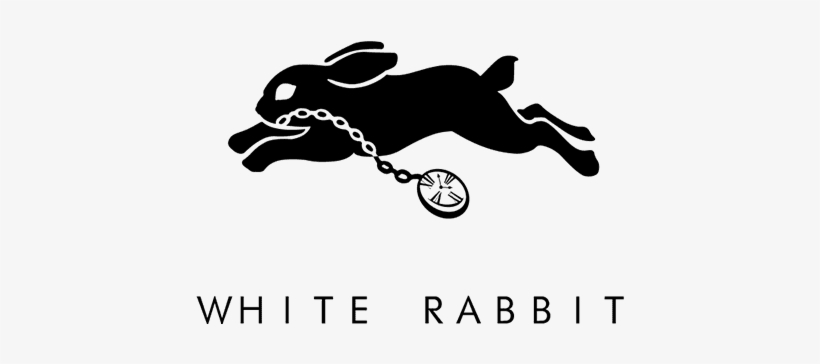 Deaths Gambit - Illustration, transparent png download