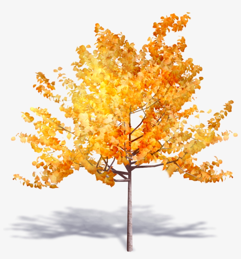 Tree, transparent png download