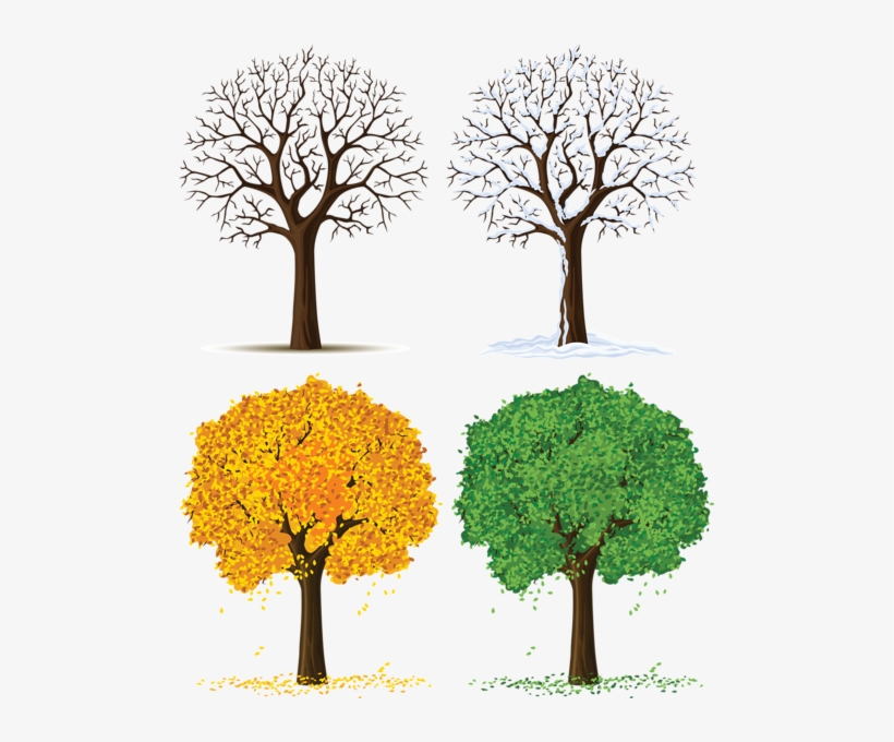 Images Which You Can Use For Various Designs And Projects - Silueta De Arbol Seco, transparent png download