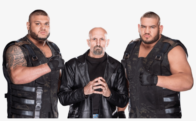 En El Pasado, The Young Bucks Definitivamente Se Enfrentaron - Paul Ellering Authors Of Pain, transparent png download