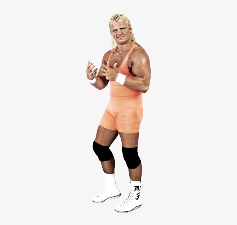 Perfect - Wwe Mr Perfect, transparent png download