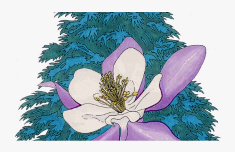 Illustration, transparent png download