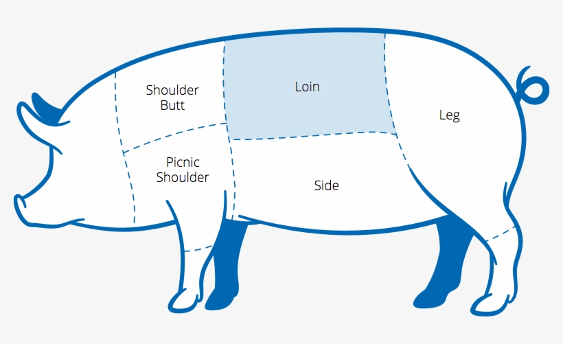 Shoulder/butt Picnic Shoulder Loin Side Leg - Cartoon, transparent png download