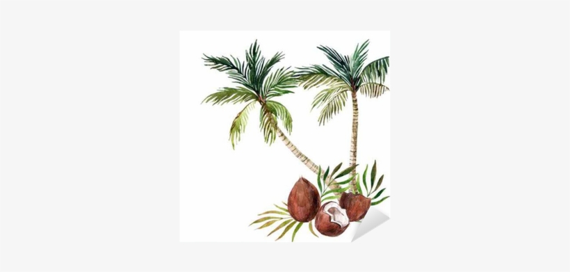Palm Tree Isolated On White Background - Watercolor Palm Tree, transparent png download