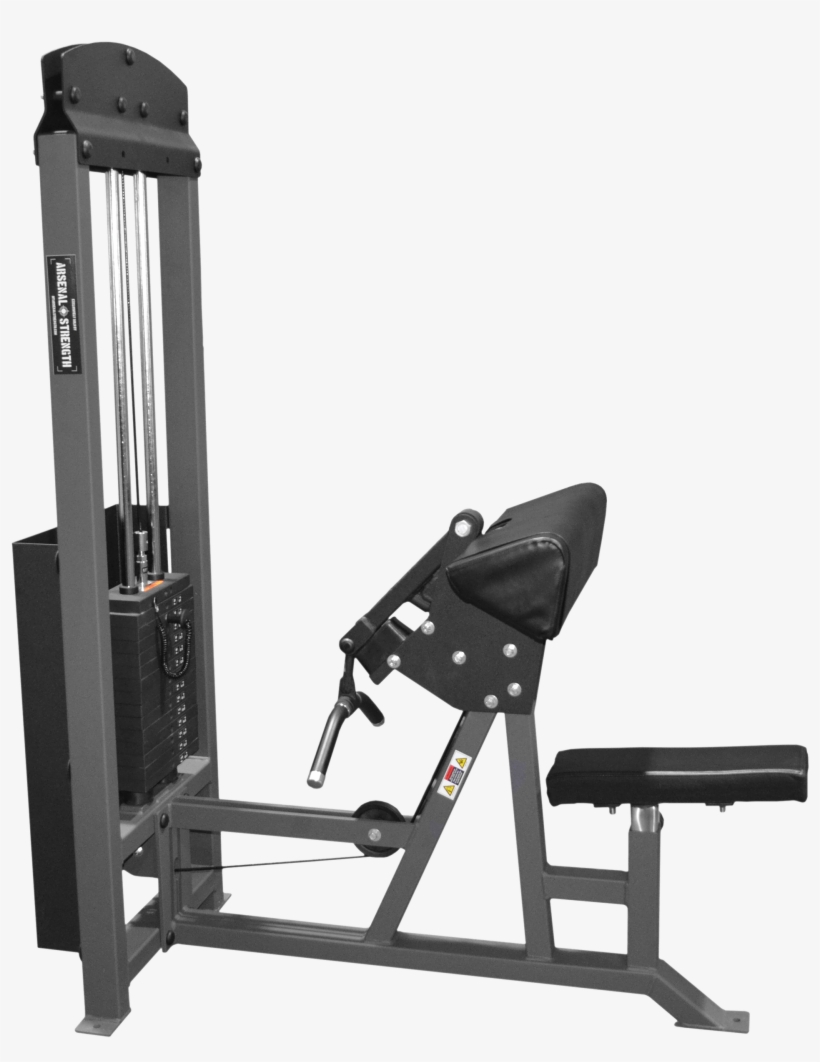 Bicep-curl - Gym, transparent png download