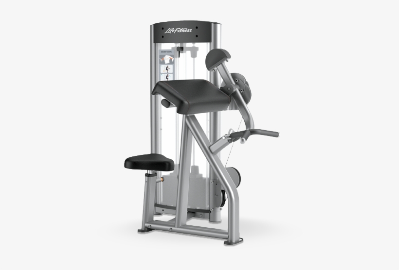 Optima Series Bicep Curl, transparent png download