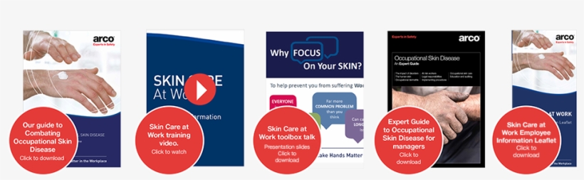 Please Click On The Sections Below For More Information - Brochure, transparent png download