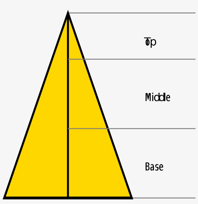 Notes In Fragrance, transparent png download