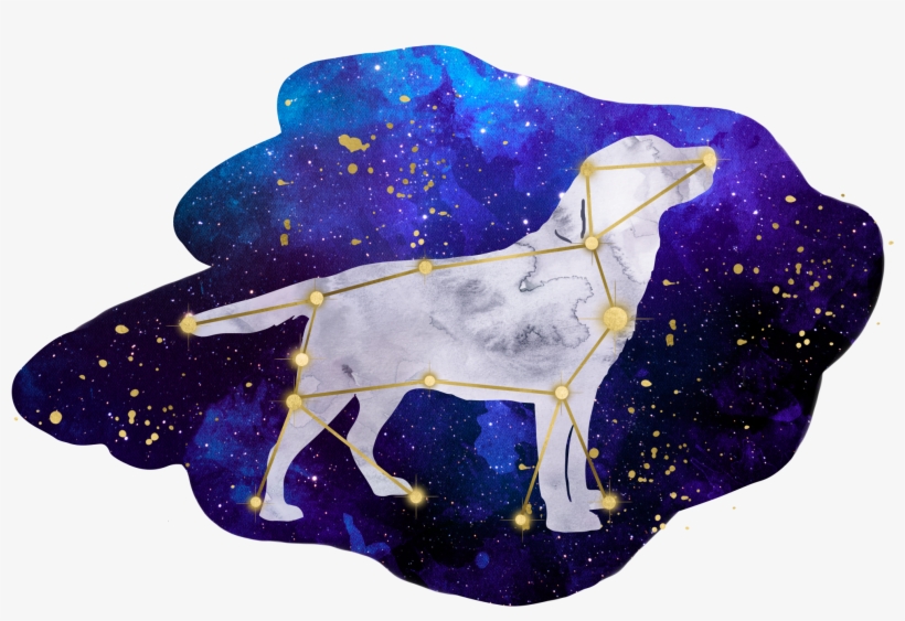 Brittany, transparent png download