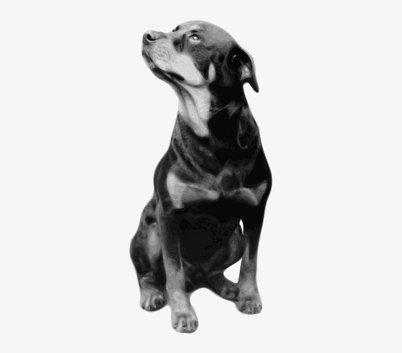 Dog, Sitting, Pet, Staring, Picture, Rottweiler, Breed - Life Is Better With A Rottweiler Shower Curtain, transparent png download
