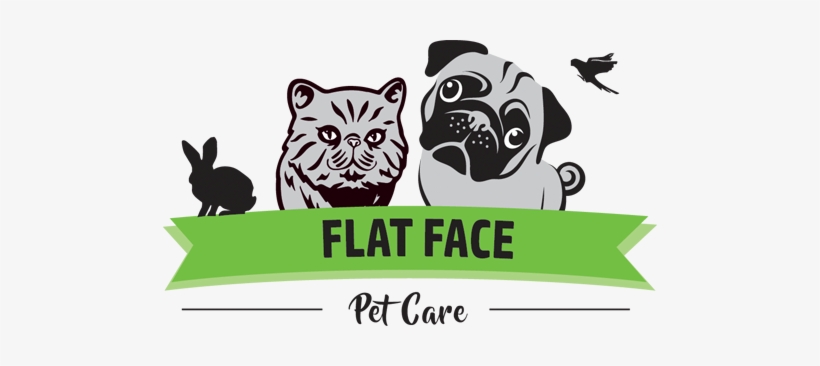 Providing Brackley And Surrounding Areas With Petcare - Mops , Der An Sie Gruß-karte, Leeres Innere Riesige, transparent png download