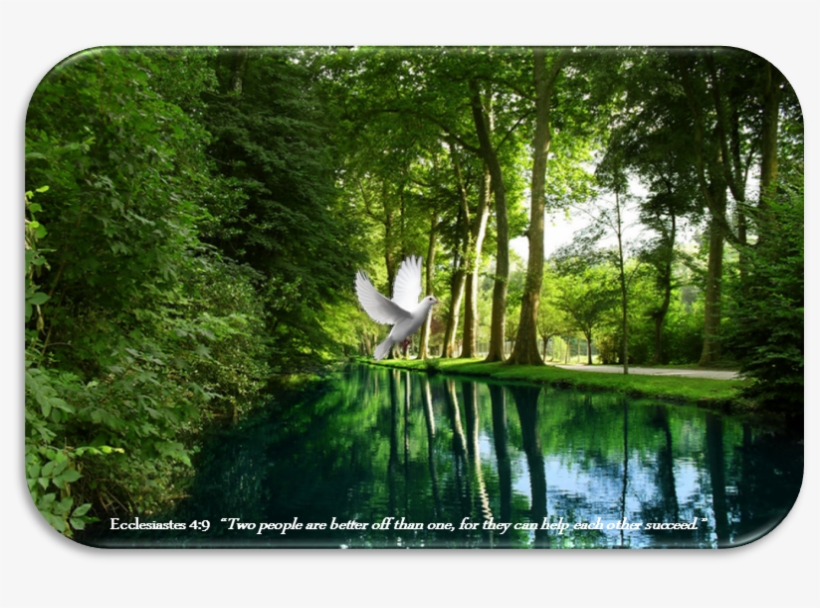 Friends-forever - Heaven, transparent png download