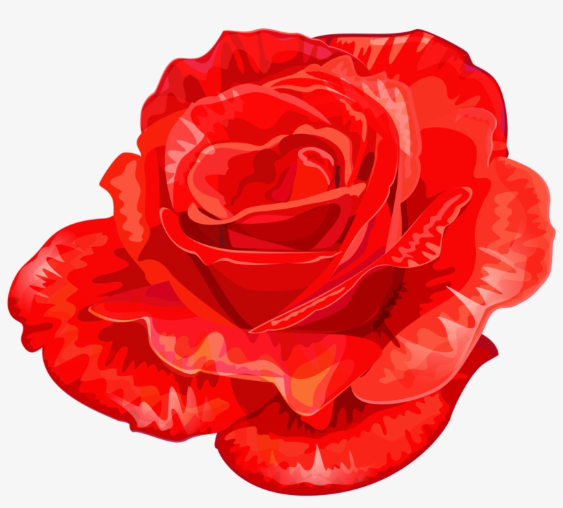 Rღѕє 🌸💗 - Flower, transparent png download