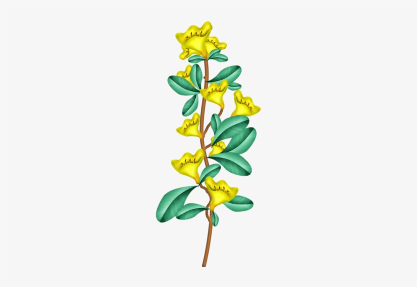 82 Fantasy Easter - Caesalpinia, transparent png download