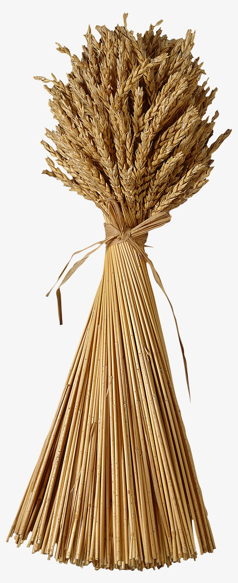 Grain Clipart Wheat Straw - Finding Fullness Again: What The Book Of Ruth Teaches, transparent png download