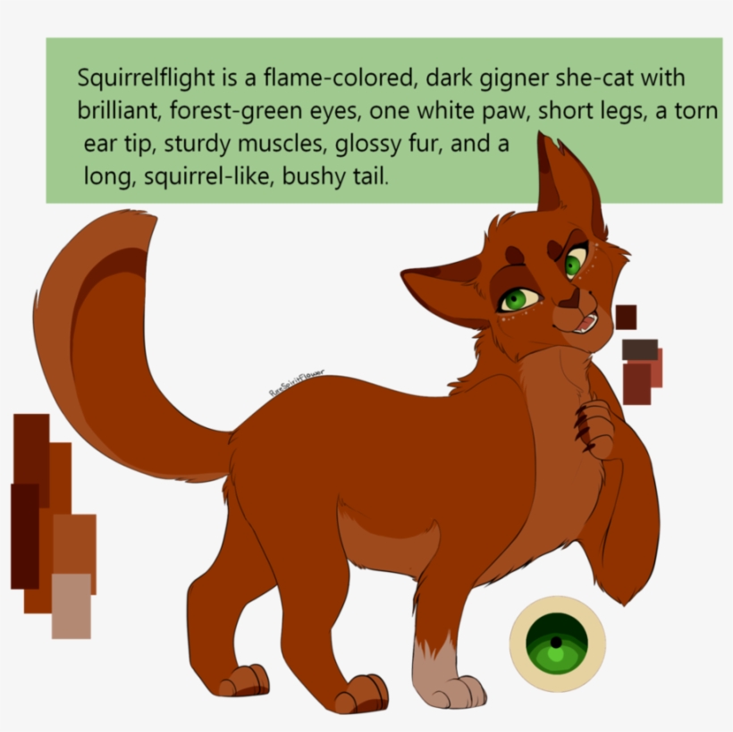 Squirrelflight By Purespiritflower Deviantart Com On - Purespiritflower Squirrelflight, transparent png download