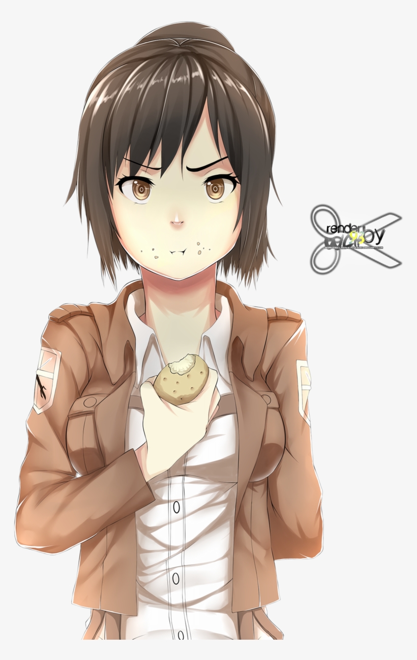 Sasha Attaque Des Titans, transparent png download