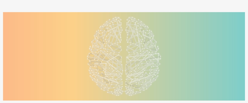 Here Is An Excellent Article On Creativity And The - The Creative Brain, transparent png download
