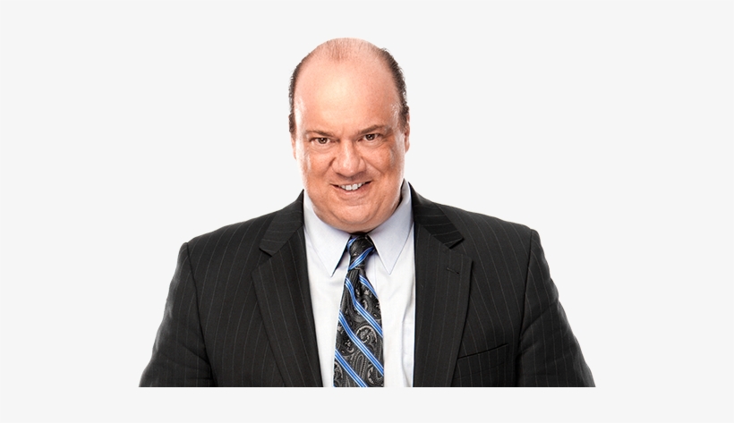 Paul Heyman - Wwe Paul Heyman, transparent png download