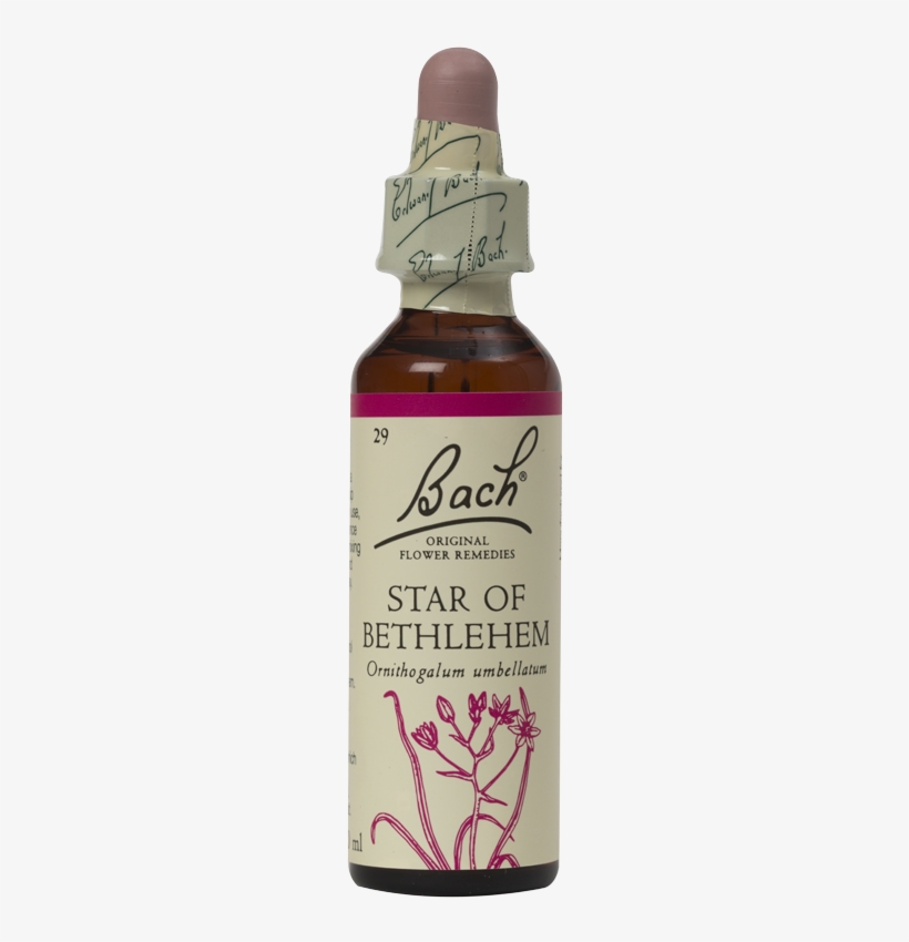 Star Of Bethlehem - Bach Flower Remedies Clematis Flower Essence - 20 Ml, transparent png download
