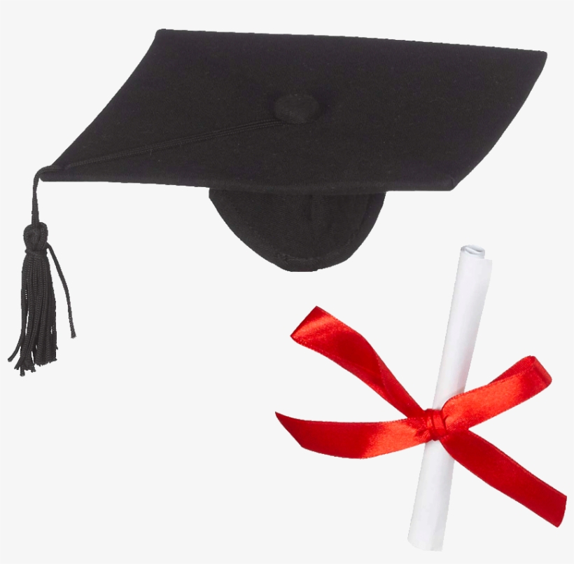 Bearwear Graduation Hat & Diploma - Diploma, transparent png download