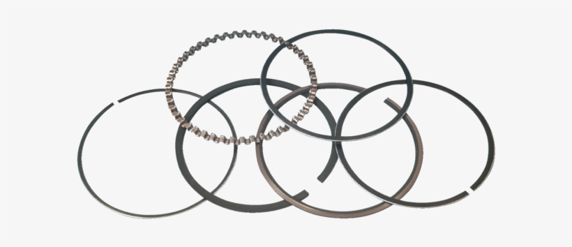 Total Seal Is The Leading Company In The Development - Segment Racleur Png Transparent, transparent png download