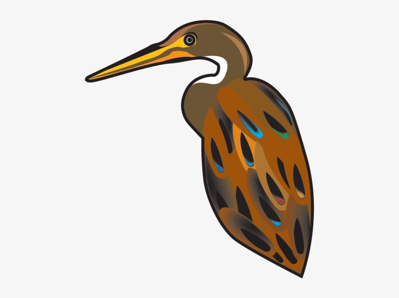 Avian - Water Bird, transparent png download