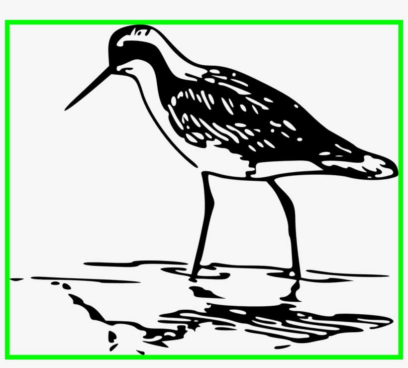 Appealing Sandhill Crane Silhouette For Your Creation - Art Print: Beach Coast By Kimberly Allen : 13x19in, transparent png download