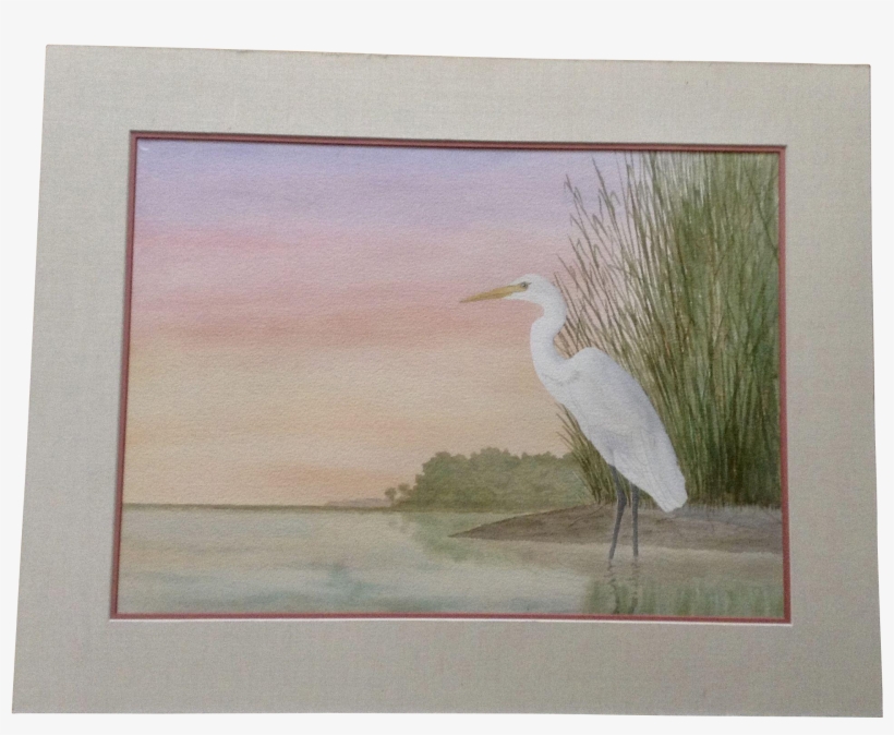 Paul Patterson, White Crane Bird At Edge Of Swamp Watercolor, transparent png download