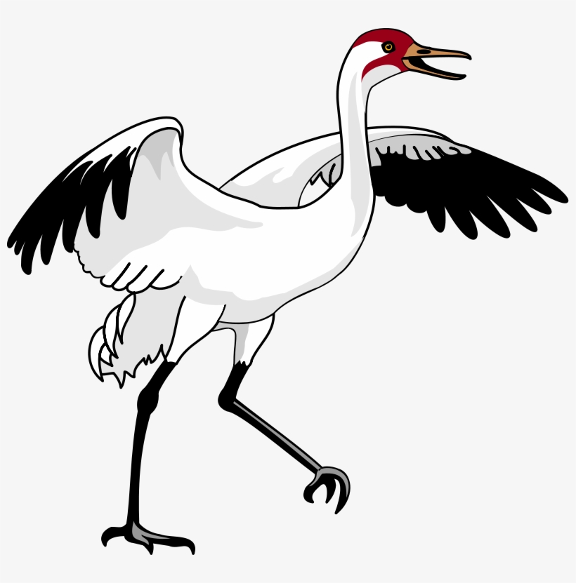 Clipart Resolution 800*751 - Whooping Crane Clip Art, transparent png download