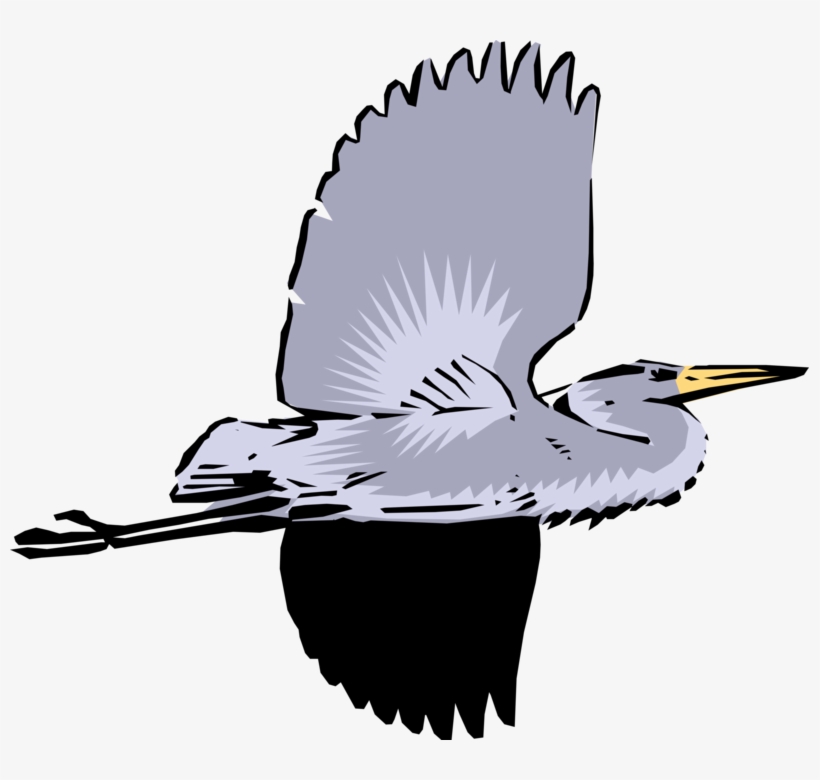 Vector Illustration Of Great Blue Heron Crane Bird - Heron, transparent png download