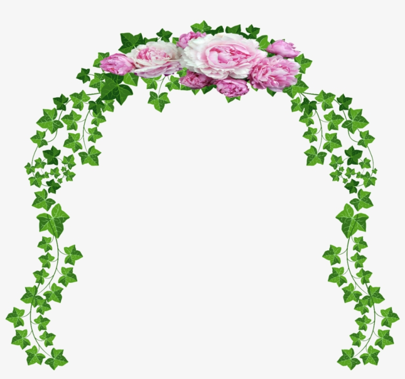 Vines With Transparent Background, transparent png download