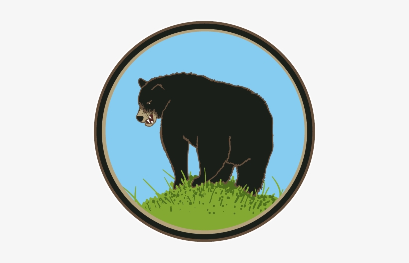 Black Bear's Butt - American Black Bear, transparent png download