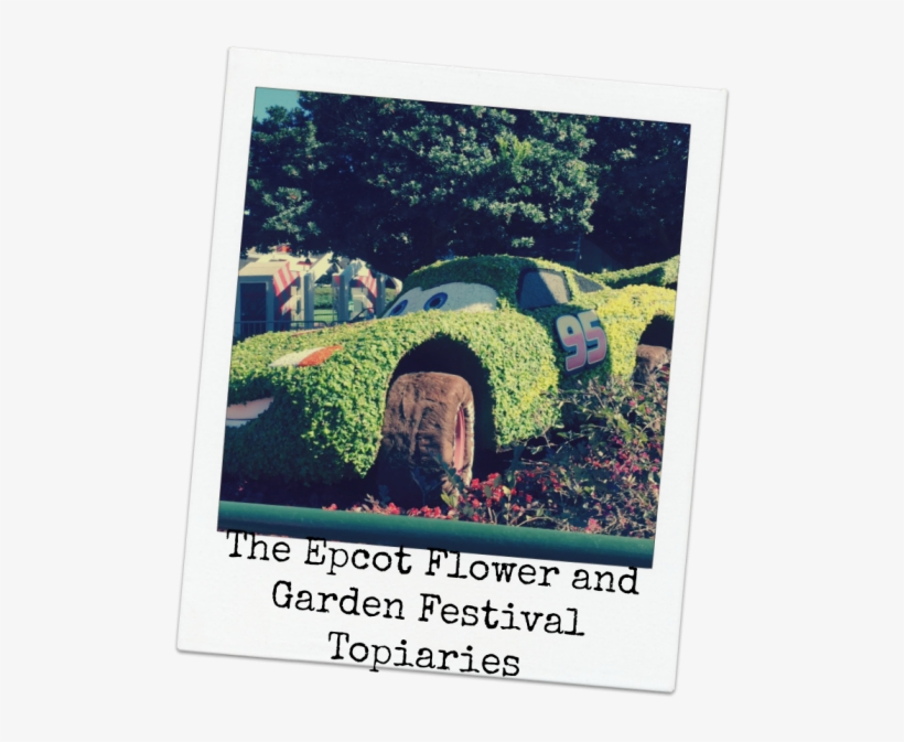 Cover Flower And Garden - Hive Bangkok, transparent png download