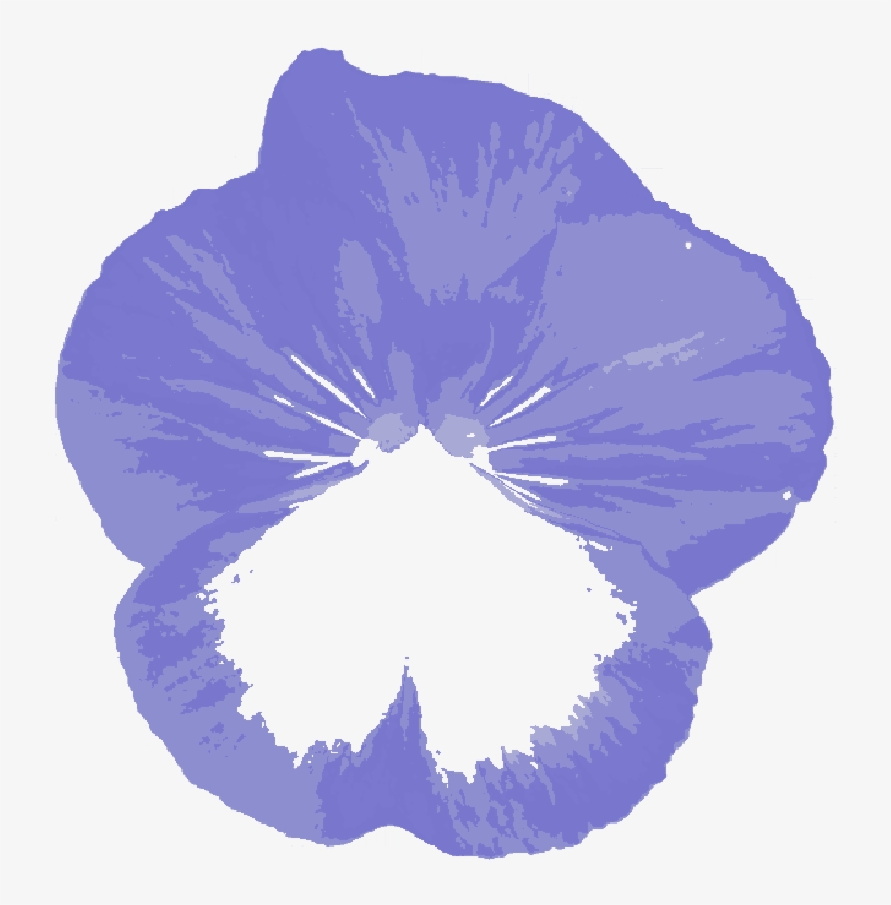 Mb Image/png - Petunia, transparent png download