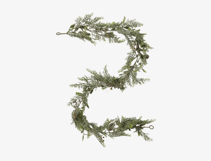 50 For Holiday Garland & Pvc - Pond Pine, transparent png download
