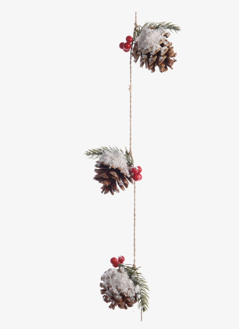 Pinecone Garland With Berries And Snow - Rothenburg Ob Der Tauber, transparent png download