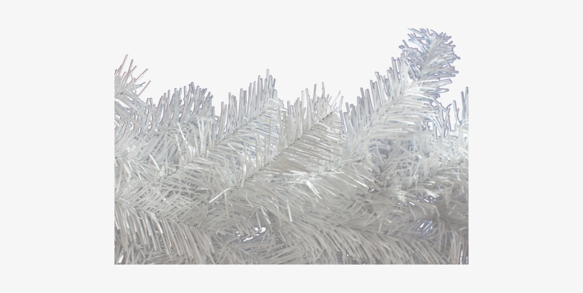 Brand New Shiny White Colored Tinsel Garland For Your - Pond Pine, transparent png download
